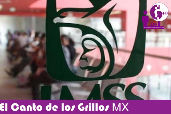 Suspende @Tu_IMSS cursos y programas por Covid-19