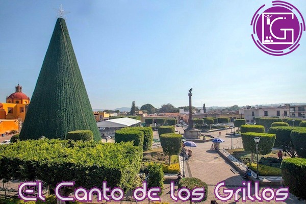 Este viernes, encendido del mega pino navideño y arranque de la pista de hielo en #SJR