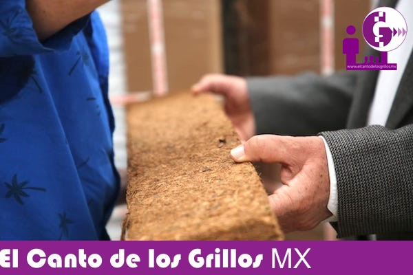 Se producirán en #Querétaro productos derivados de coco