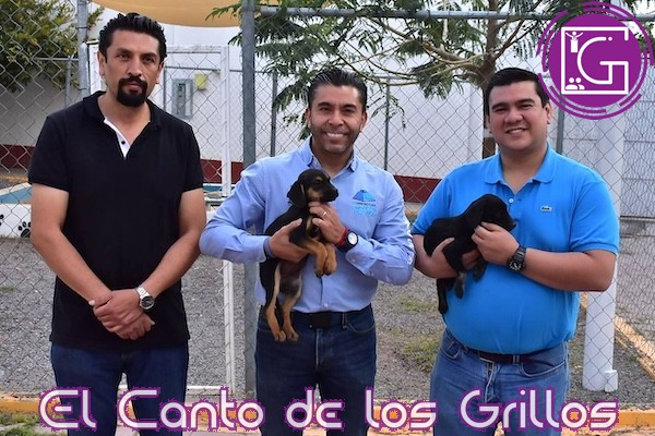 Ha dado UCPA #Corregidora en adopción a 100 animales de compañía rescatados