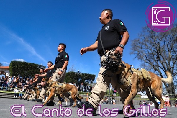 Cumple Unidad Canina UAQ 7 años de servicio y protección a la comunidad universitaria