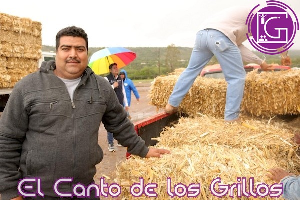 Entrega Sedea forraje a 260 productores pecuarios en #Colón y Tolimán