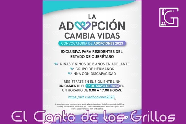 Abre SEDIF convocatoria de adopciones especiales