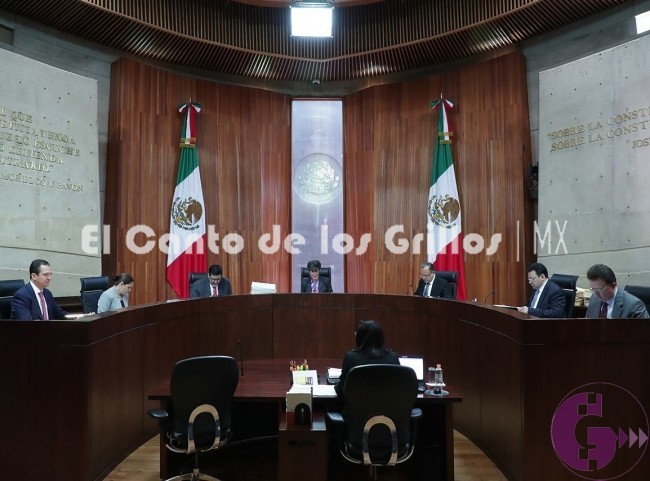 Tribunal Electoral inicia sesión para aprobar dictamen de validez de comicios