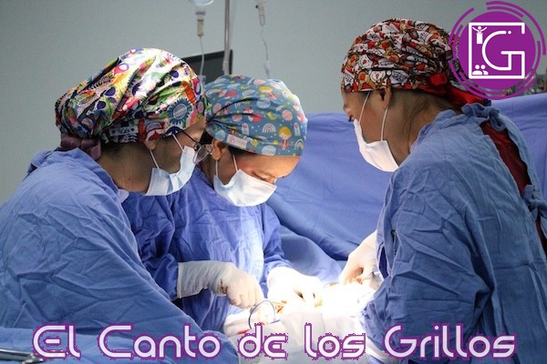 Realiza IMSS Querétaro octava procuración multiorgánica de 2024