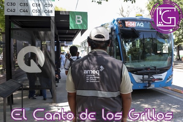 Anuncia AMEQ servicio de Qrobús para la Feria Ganadera #Querétaro 2024