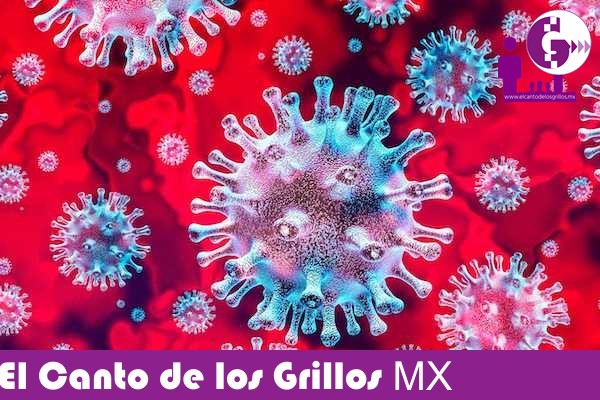Querétaro, con 11 mil 314 casos y mil 168 muertes por #coronavirus