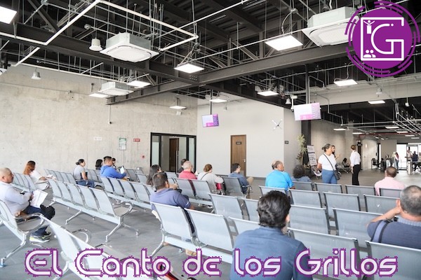 Informa SSC requisitos para tramitar o renovar la licencia de conducir