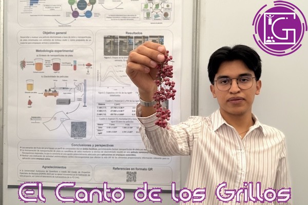 Innova UAQ con película biodegradable para aplicación en envases de alimentos