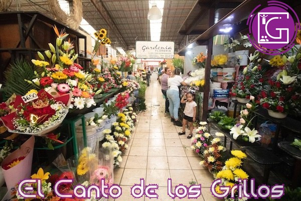 Proyecta #SJR derrama económica de 46 mdp por celebración del Día de las Madres