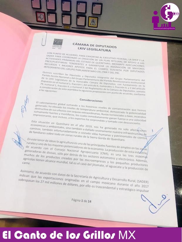 Propone @SonRocha punto de acuerdo y solicitud de ampliación de recursos para el campo queretano