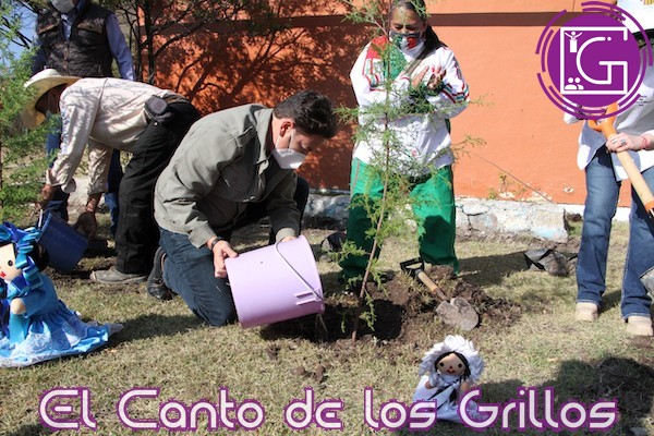 Contribuirá diputado Astudillo con 4 mil árboles para programa Guardianes Ecológicos de #Huimilpan