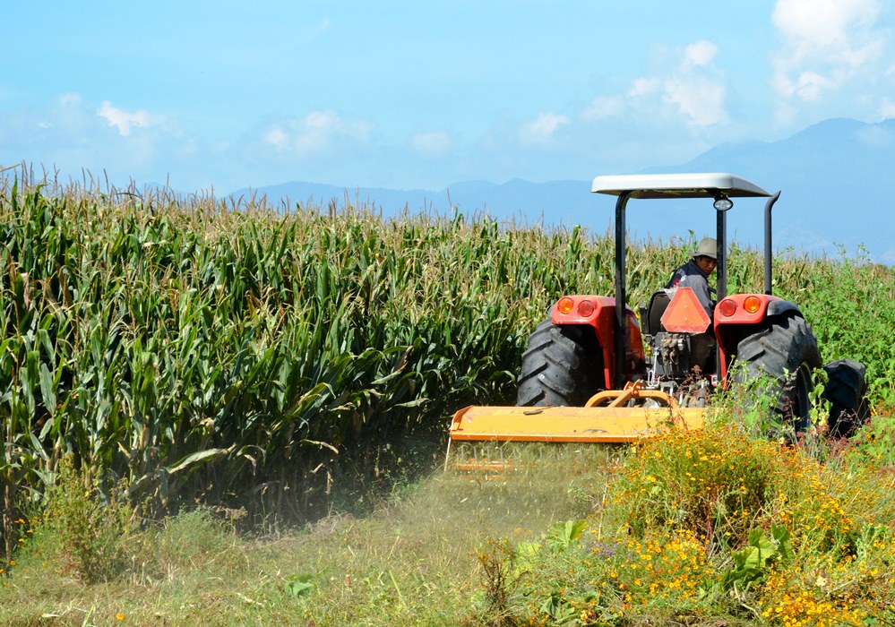 Publica @SAGARPA_mx reglas de operación 2017