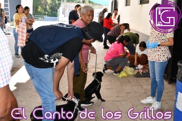 Se llevó a cabo Jornada de Esterilización Canina y Felina en #Jalpan
