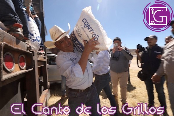 Entrega Sedea 311 toneladas de maíz a productores afectados por sequía en #Huimilpan