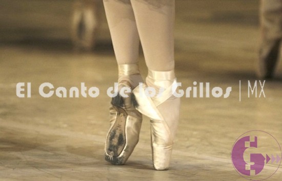 Desarrollo de la #danza enriquece creaciones y montajes dancísticos