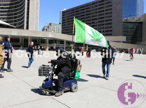 #Canadá importará marihuana de Colombia para surtir su mercado lúdico