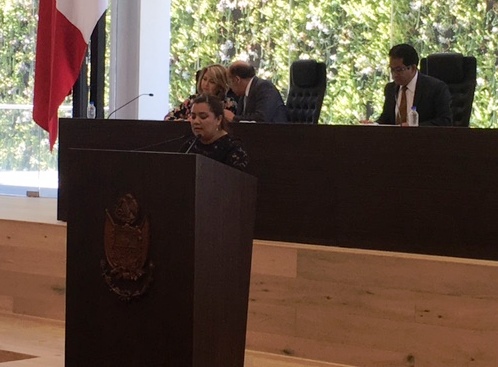 Obligación, brindar rehabilitación integral de personas con discapacidad: Atalí Rangel