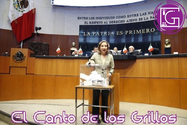 Asumo con orgullo mi papel como senadora y coordinadora: Lupita Murguía