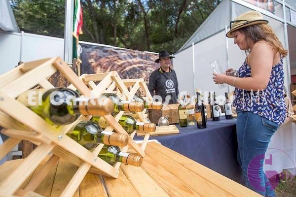 Listo el programa del Festival de Vino, Queso y Cerveza en #SJR