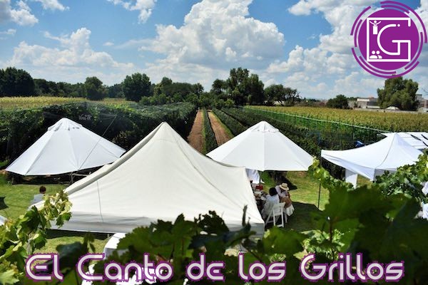 Encabeza Sectur celebración del Picnic en Blanc en la Viña TX