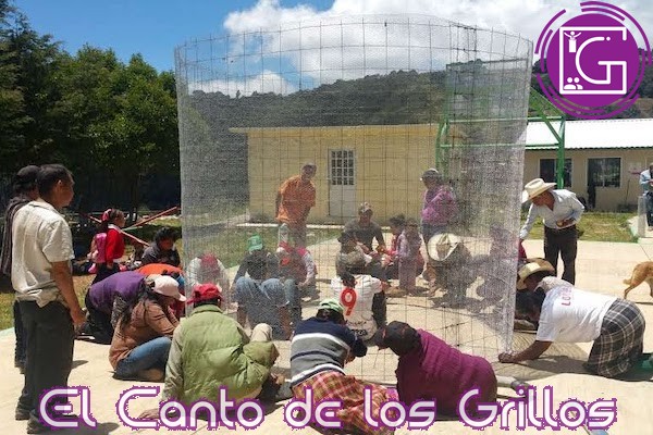 Proyecto universitario, reconocido en los International Green Gown 2021