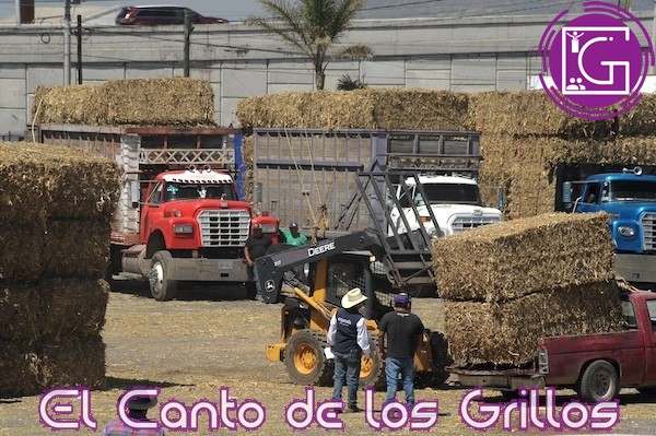 Entregan 242 toneladas de forraje a productores sanjuanenses