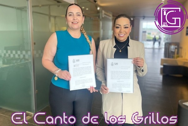 Proponen diputadas actualizar padrón de personas con discapacidad cada 3 años