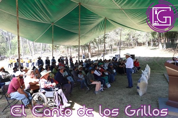 Reparte Sedea más de 13 toneladas de maíz en San Joaquín