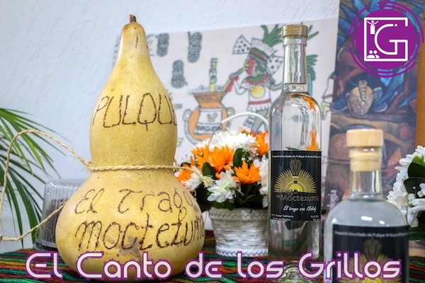 Abre UAQ sus puertas a la investigación del maguey