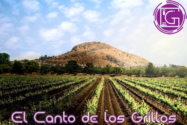 Gobierno de #SJR y del estado trabajan para impulsar al campo sanjuanense