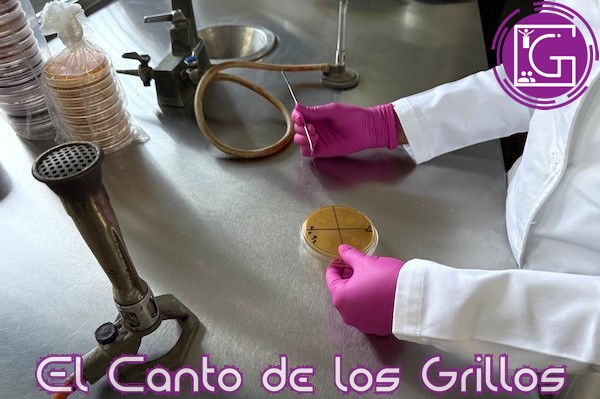 Comparten investigadoras UAQ sus experiencias y logros