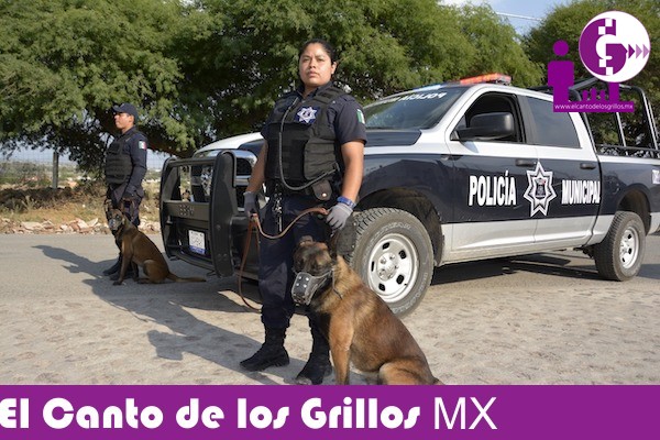 Más de 150 polis de #Tequisquiapan resguardarán las fiestas patrias