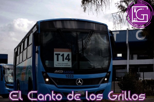 Amplía ruta T14 su cobertura en #PedroEscobedo