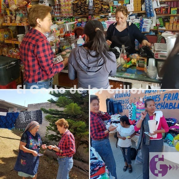 Desde el Senado impulsaré salarios equitativos para las mujeres: Ana Bertha Silva