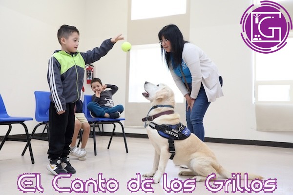 Arranca SEDIF con servicio de caninoterapia en CRIQ