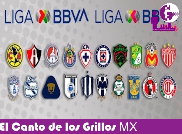 Concluyen torneo Clausura 2020 de la Liga MX por Covid-19