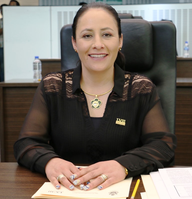 Celebra @dipverohdez8 aprobación en Pleno de sus iniciativas