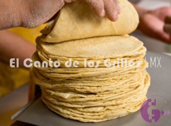 Preocupa a productores de maíz alza en precio de la #tortilla