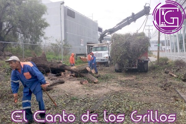 Autoridades municipales atienden reportes de afectaciones por lluvias en la capital