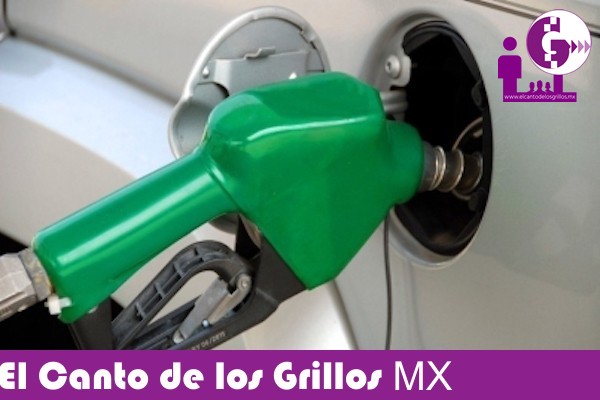 En 23 estados, gasolina cuesta 13 pesos