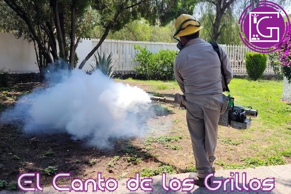 Realiza Salud vigilancia epidemiológica del #dengue