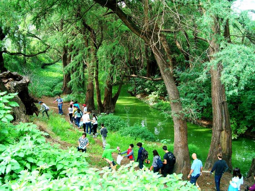 Refuerzan limpieza en Tx para evitar encharcamientos por lluvias