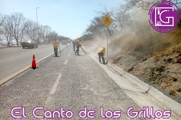 Realiza CEI mantenimiento del Circuito Universidades