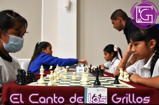 Participan 380 alumnos de educación indígena en circuito de ajedrez