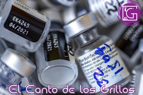 #Coronavirus en México: Reportan 262 nuevas muertes