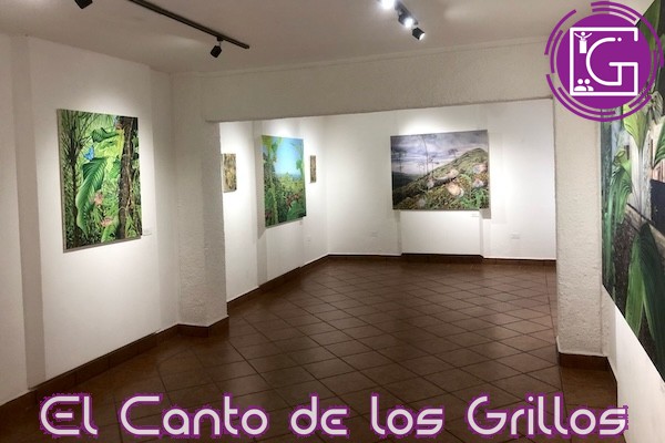 Abre Museo Histórico de la Sierra muestra Hábitats Cambiantes