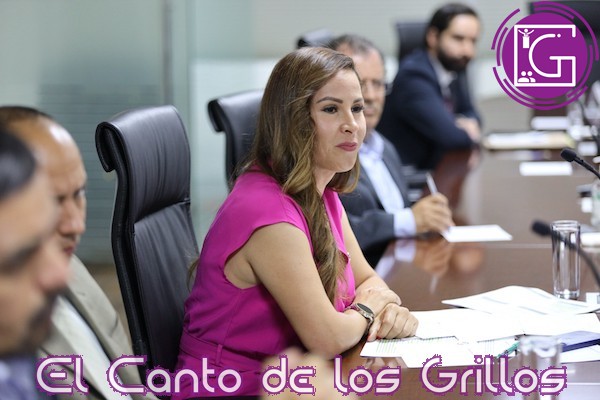 Urgente garantizar acceso al agua para todos los mexicanos: Estrella Rojas