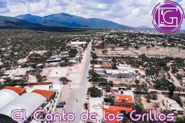 Realizan urbanización de vialidad en Barrio de La Magdalena en #Tequisquiapan