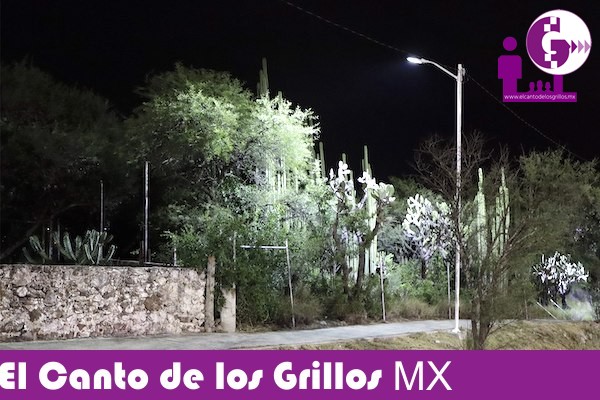 Concluye proyecto de alumbrado en zona de comunidades en #Corregidora